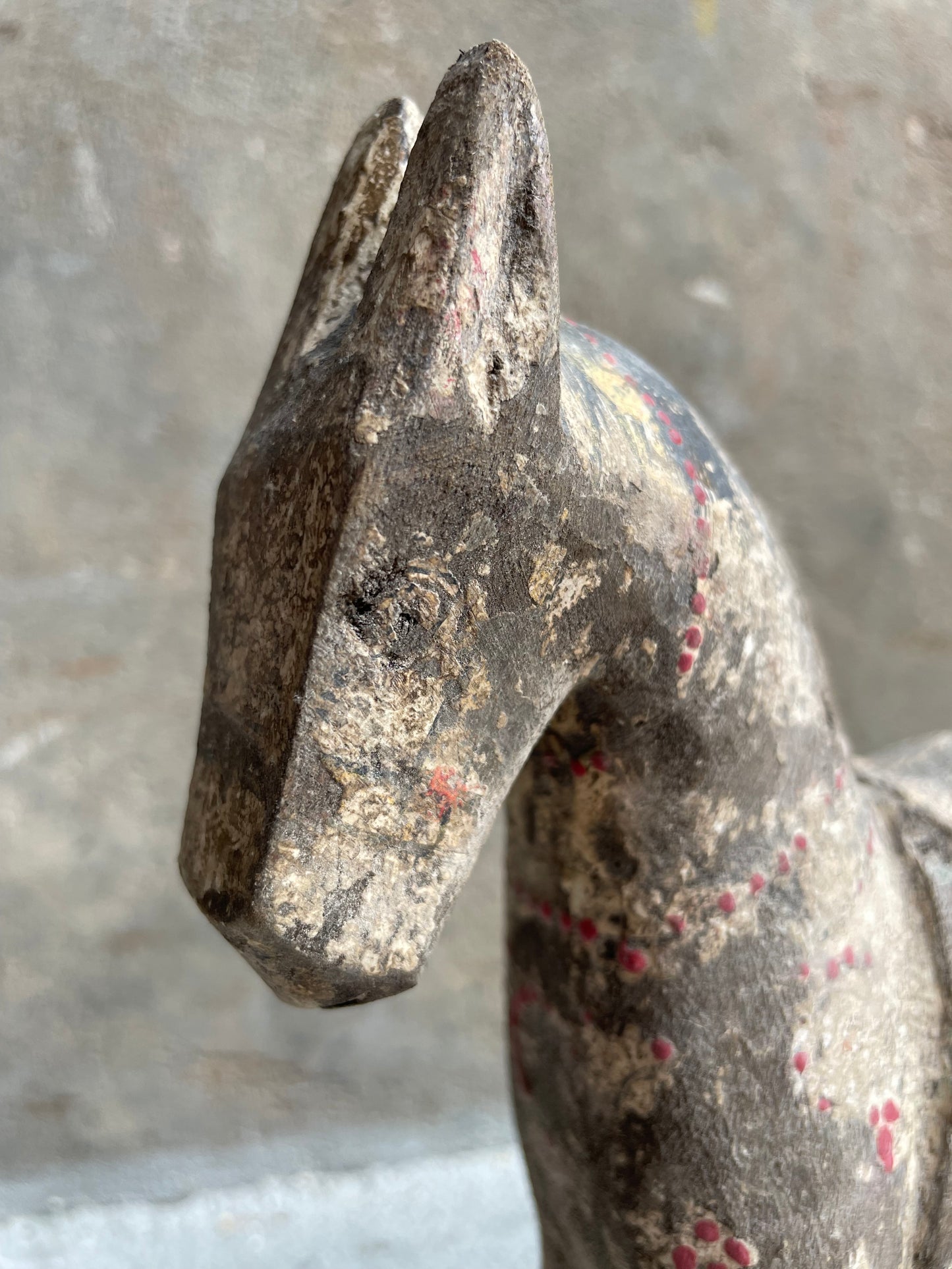 Oud paard uit India