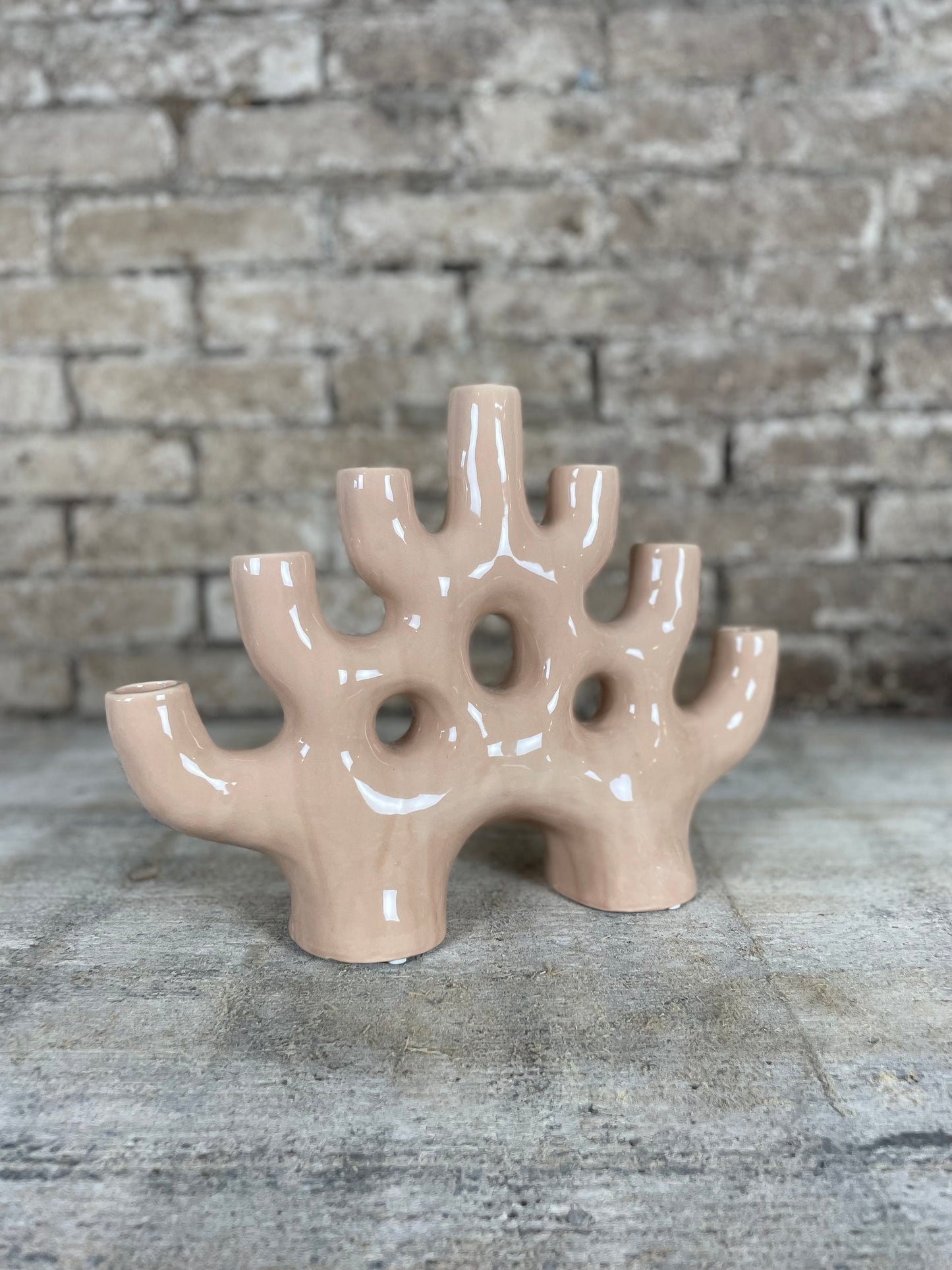 Kandelaar coral