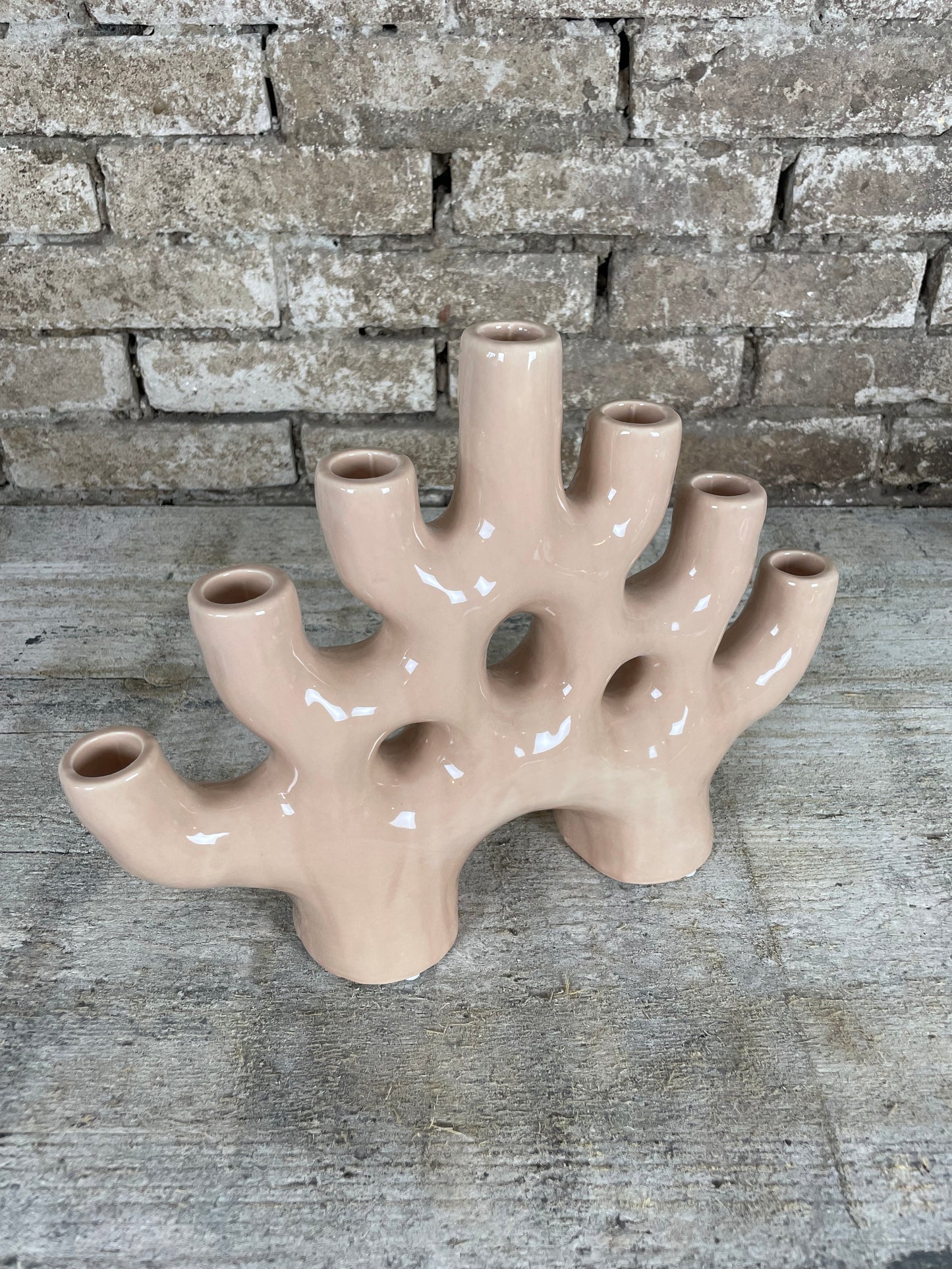 Kandelaar coral