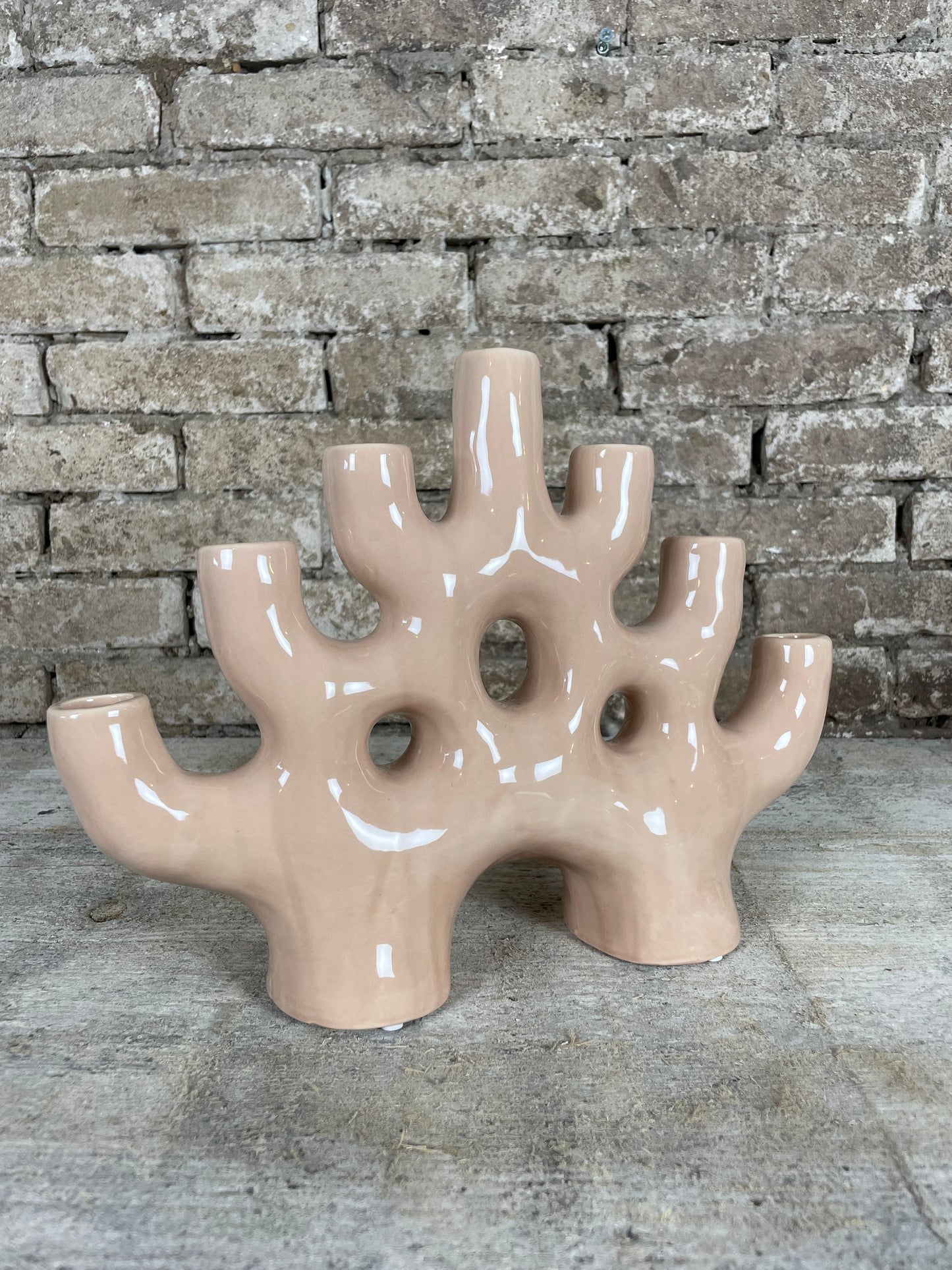 Kandelaar coral